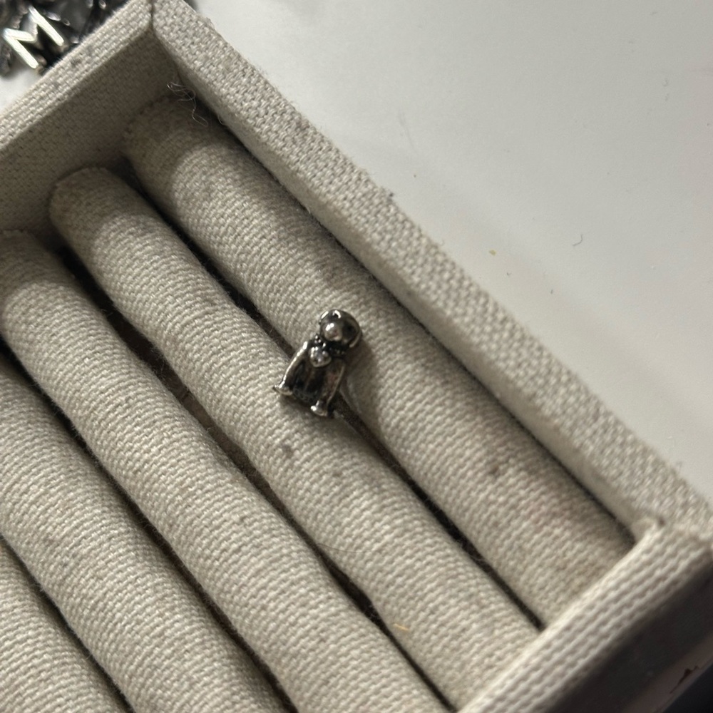 Pandora charm
